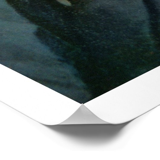 Tecumseh (1768-1813) (olie op canvas) poster (Hoek)