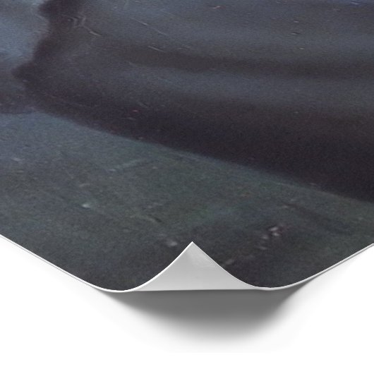 Tecumseh Native American Indian Poster (Hoek)