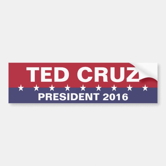 TED CRUZ voor President 2016 Bumpersticker (Voorkant)