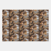 Ted. E. Beer Inpakpapier Vel (Voorkant)