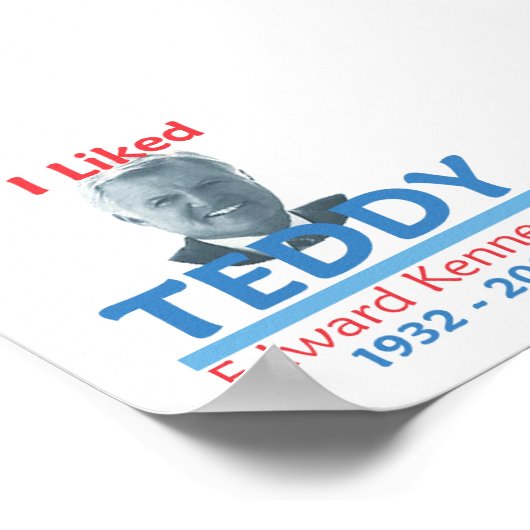 Ted Kennedy I LIKED TEDDY Poster (Hoek)