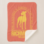 Ted Lasso | AFC Richmond Gold Arched Logo Sherpa Deken (Voorkant)