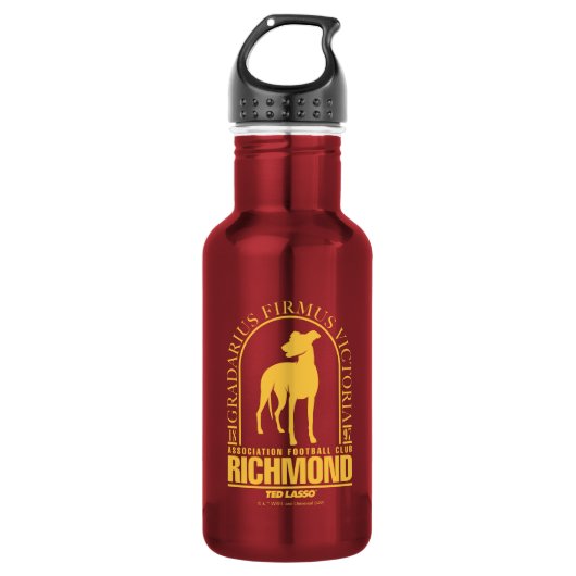 Ted Lasso | AFC Richmond Gold Arched Logo Waterfles (Voorkant)