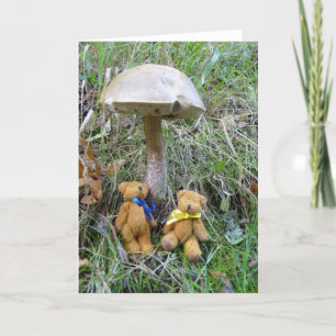 "Tedd and Teena in Happy Valley" Kaart