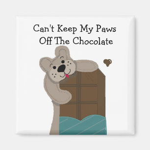 Teddibeer knabbelend aan chocolade magneet