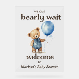 Teddy Bear Boy Baby shower Welkom Acryl Bord
