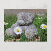Teddy Bear Briefkaart (Voorkant)