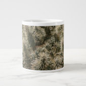 Teddy Bear Cactus Grote Koffiekop (Voorkant)