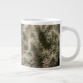 Teddy Bear Cactus Grote Koffiekop (Rechts)