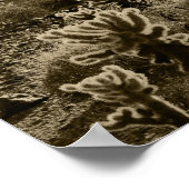 Teddy Bear Cactus Poster (Hoek)