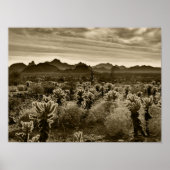 Teddy Bear Cactus Poster (Voorkant)