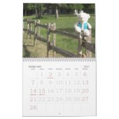 Teddy Bear Calendar Kalender (Feb 2027)