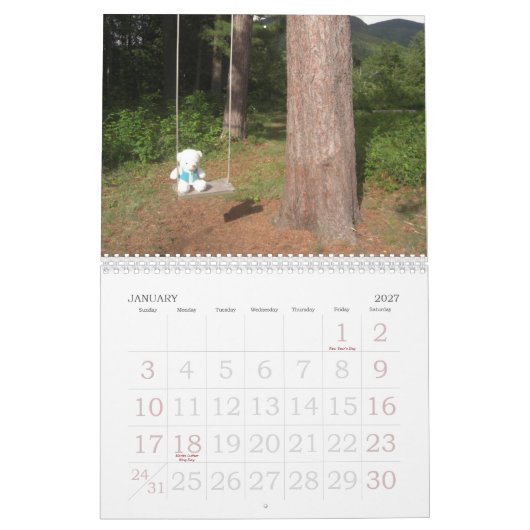 Teddy Bear Calendar Kalender (Jan 2027)