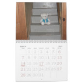 Teddy Bear Calendar Kalender (Mar 2027)