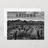 Teddy Bear Cholla Cactus Desert Plant Briefkaart (Voorkant / Achterkant)