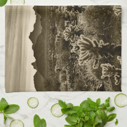 Teddy Bear Cholla Cactus Desert Plant Theedoek (Gevouwen)