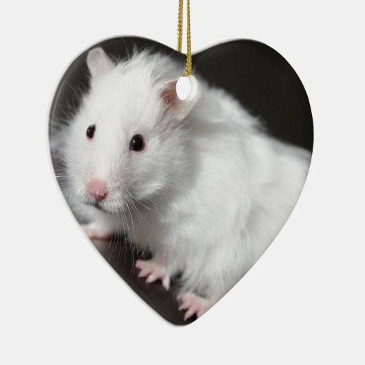 Teddy Bear Hamster Keramisch Ornament (Rechts)