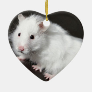 Teddy Bear Hamster Keramisch Ornament