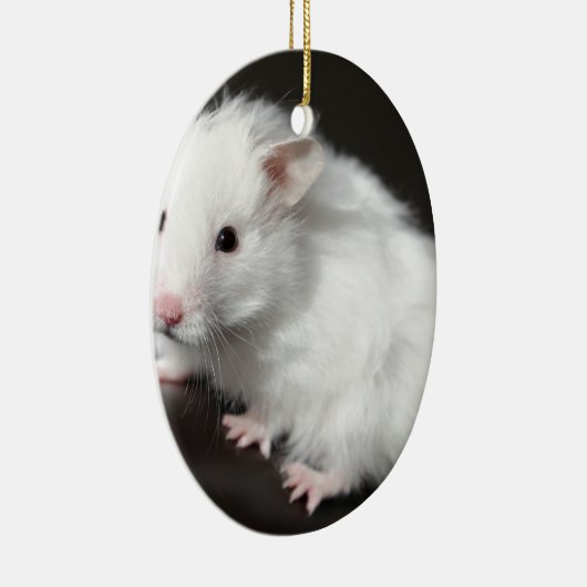 Teddy Bear Hamster Keramisch Ornament (Rechts)