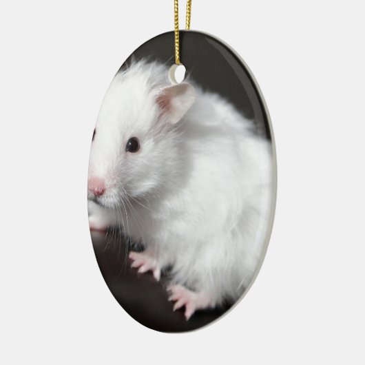 Teddy Bear Hamster Keramisch Ornament (Links)