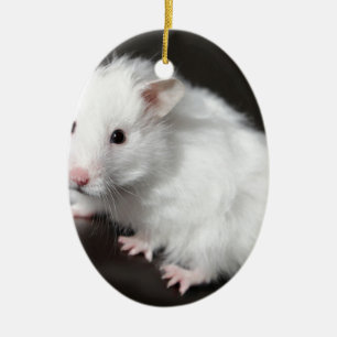 Teddy Bear Hamster Keramisch Ornament