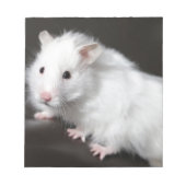 Teddy Bear Hamster Notitieblok (Voorkant)