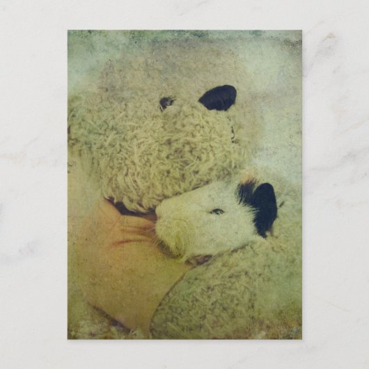 Teddy Bear Hugs A Guinee Pig Briefkaart (Voorkant)