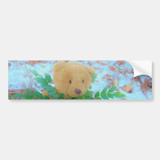 Teddy Bear in de Holly, blauwe hemel Bumpersticker (Voorkant)