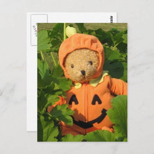 Teddy Bear in Pumpkin Patch Briefkaart (Voorkant / Achterkant)