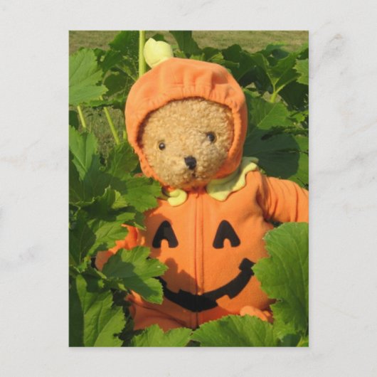 Teddy Bear in Pumpkin Patch Briefkaart (Voorkant)