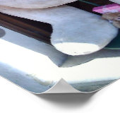 Teddy Bear in Rothenburg, Duitsland Poster (Hoek)