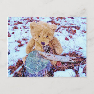 Teddy Bear in the Snow, denim blue tint Briefkaart