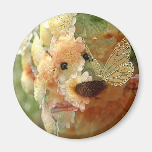 Teddy Bear Magneet (Voorkant)