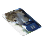 Teddy Bear Mails a Letter 2 Flexible Magnet Magneet (Rechterzijde)