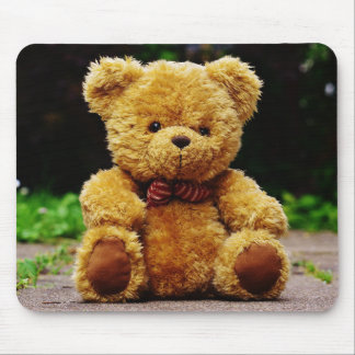 Teddy Bear Muismat