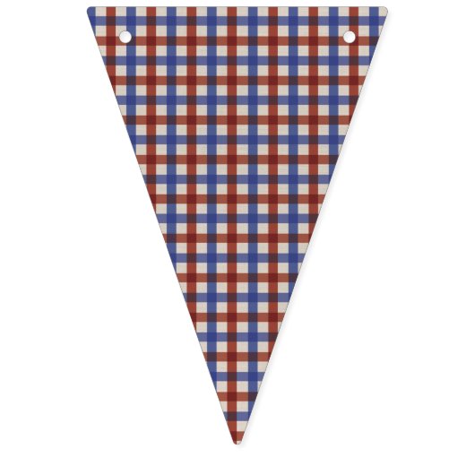 Teddy Bear Picnic Birthday Blue en Red Gingham Vlaggetjes