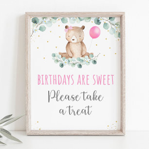 Teddy Bear Picnic Pink Floral Birthday Treat Sign Poster