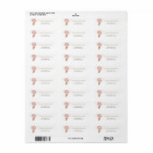Teddy Bear Pink Balloons Retouradres label (Full Sheet)