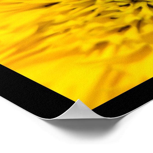 Teddy Bear Sunflower Blossom Poster (Hoek)