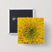 Teddy Bear Sunflower Vierkante Button 5,1 Cm (Voorkant /achterkant)