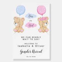 Teddy Bear Thema Geslacht Onthullen Party Welkomst