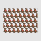 Teddy Bear Tissuepapier (Voorkant)