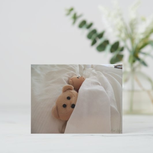 Teddy Bears slaapt in late Post Card Foto Briefkaart (Staand voorkant)