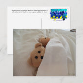 Teddy Bears slaapt in late Post Card Foto Briefkaart (Voorkant / Achterkant)