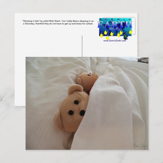 Teddy Bears slaapt in late Post Card Foto Briefkaart (Voorkant / Achterkant)
