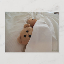 Teddy Bears slaapt in late Post Card Foto Briefkaart