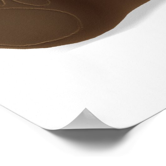 Teddy Bearz Poster (Hoek)