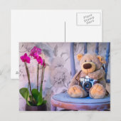 Teddy beer met camera-briefkaart briefkaart (Voorkant / Achterkant)