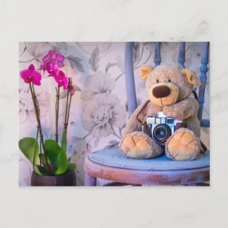 Teddy beer met camera-briefkaart briefkaart