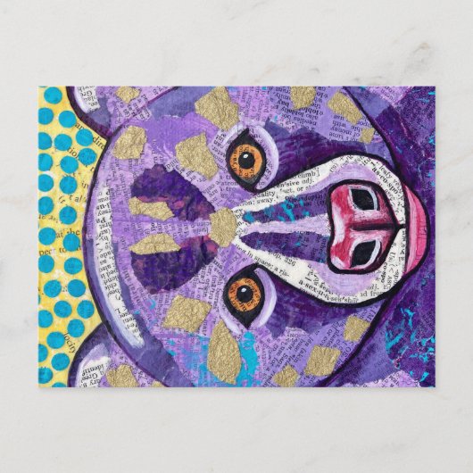 Teddy Briefkaart (Voorkant)